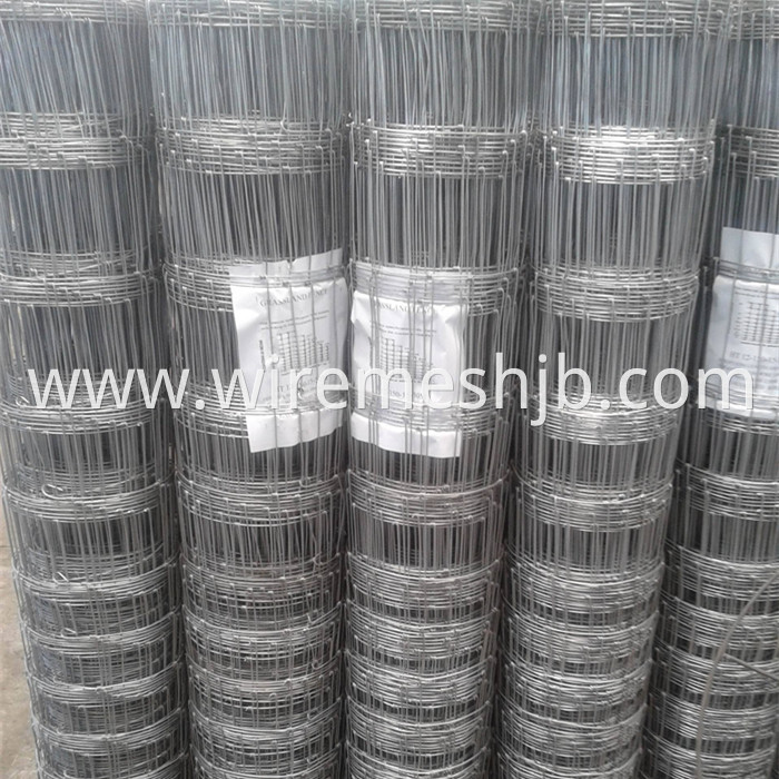 Hot Dip Galvanized Field